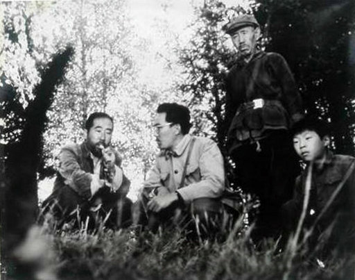 剧照