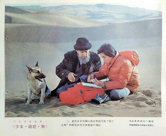 剧照