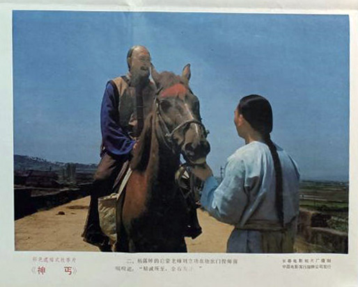 剧照