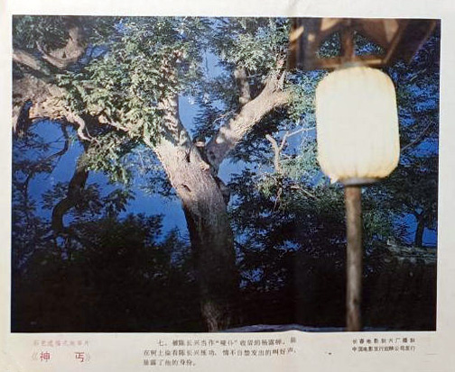 剧照