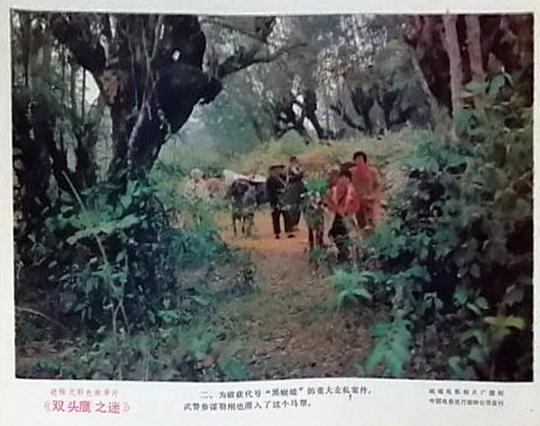 剧照