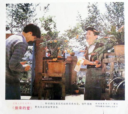 剧照