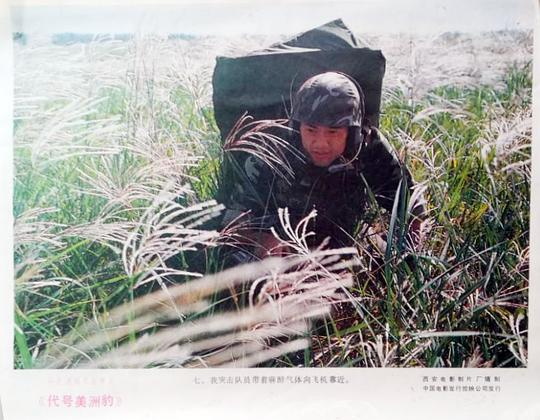 剧照