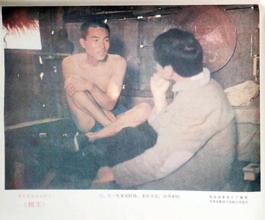 剧照
