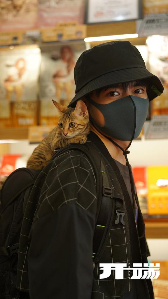 剧照