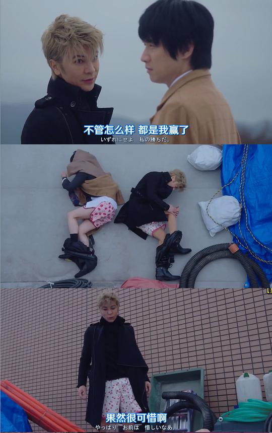 剧照