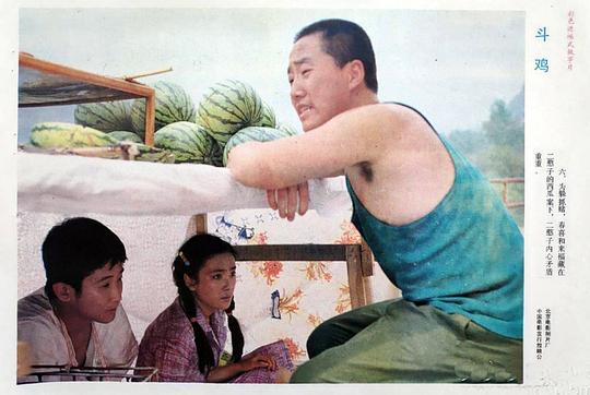 剧照