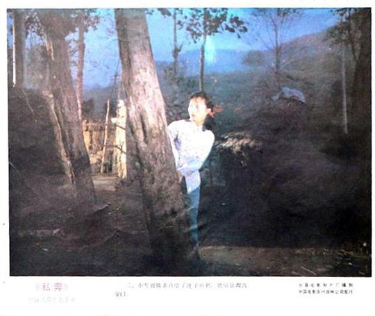 剧照