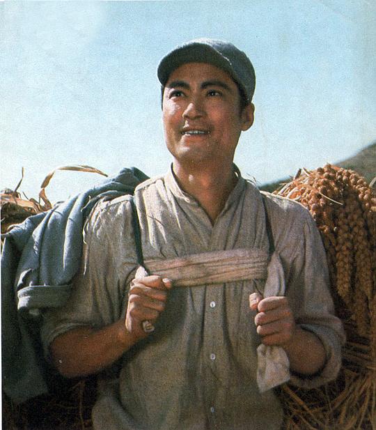剧照