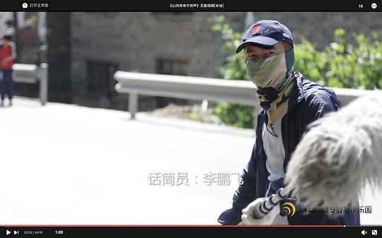 剧照