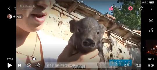 剧照