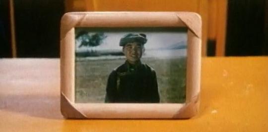 剧照