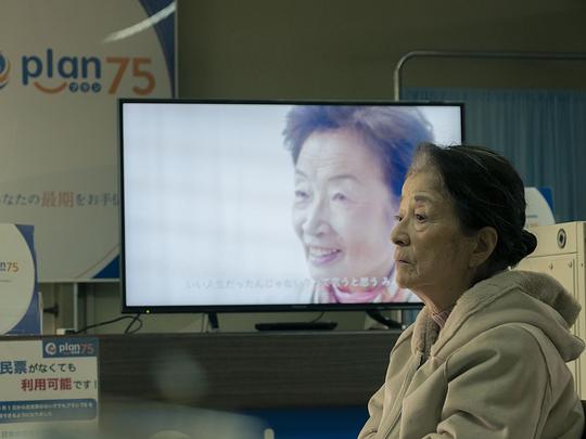 剧照