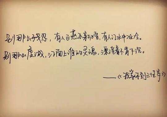 剧照