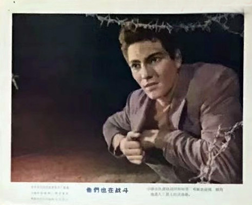 剧照