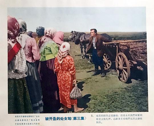 剧照