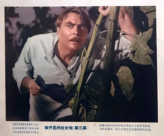 剧照