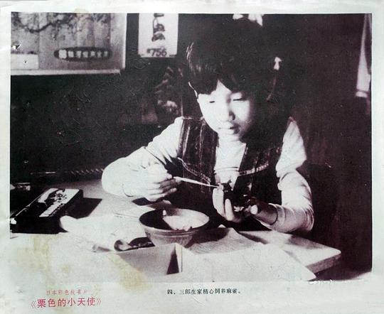 剧照