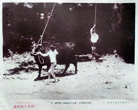 剧照