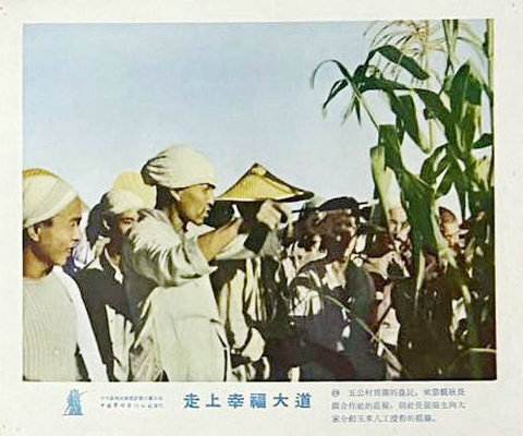 剧照