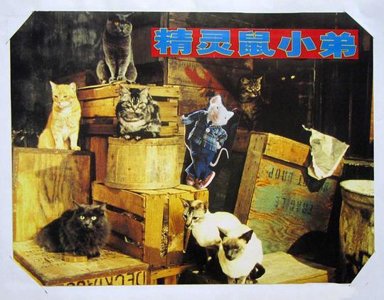剧照
