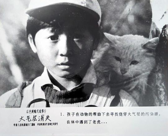 剧照