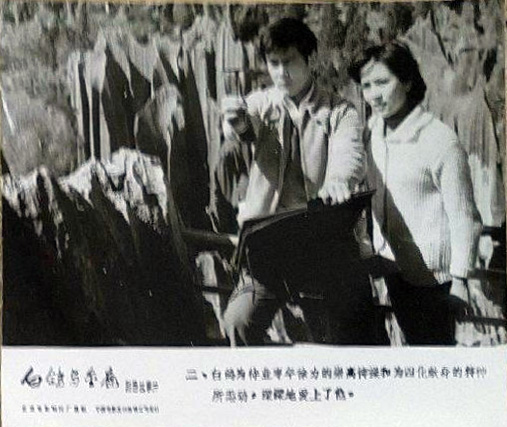剧照