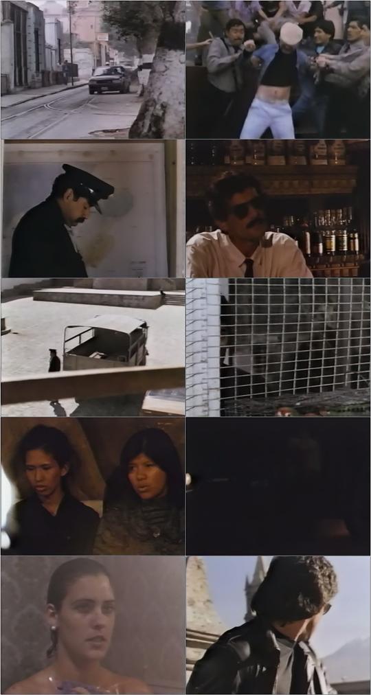 剧照