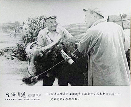 剧照