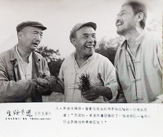 剧照