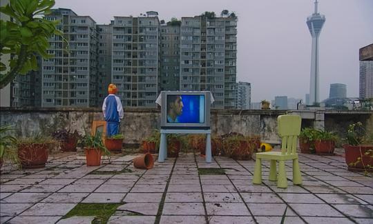 剧照