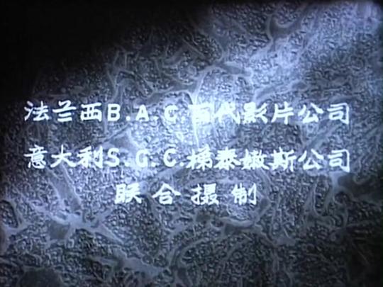 剧照