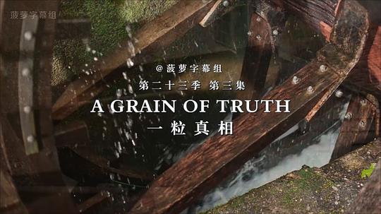 剧照