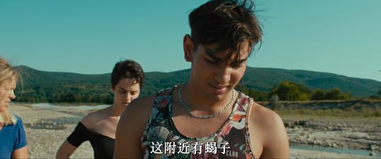 剧照