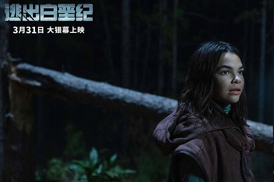 剧照