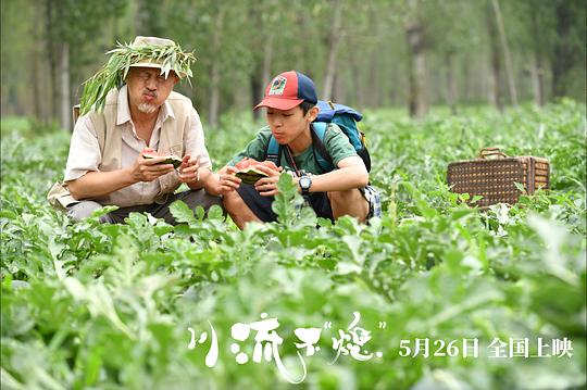 剧照