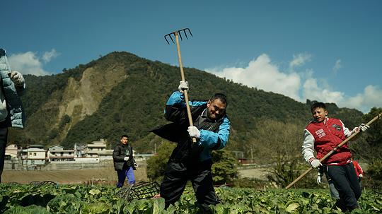 剧照