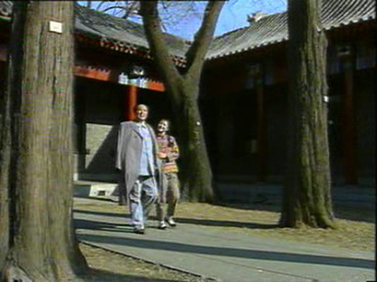 剧照
