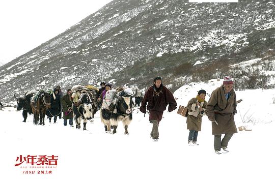 剧照