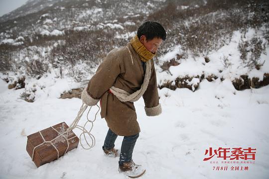 剧照