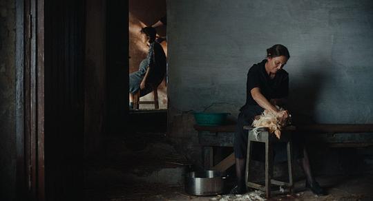 剧照
