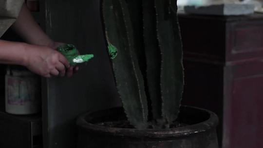 剧照