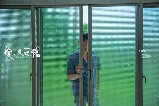 剧照