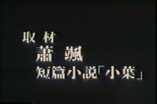 剧照