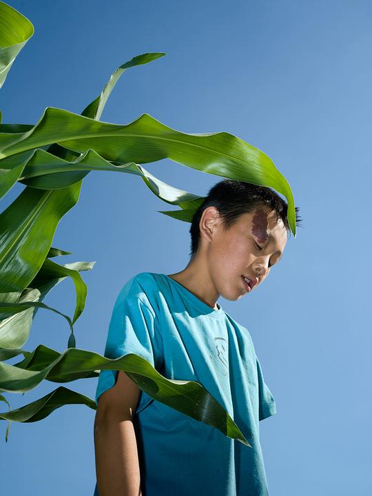 剧照