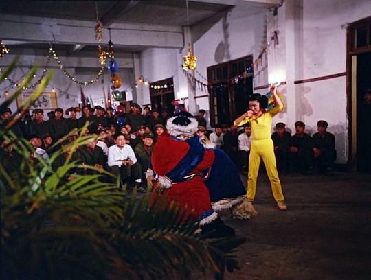 剧照