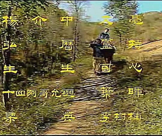 剧照