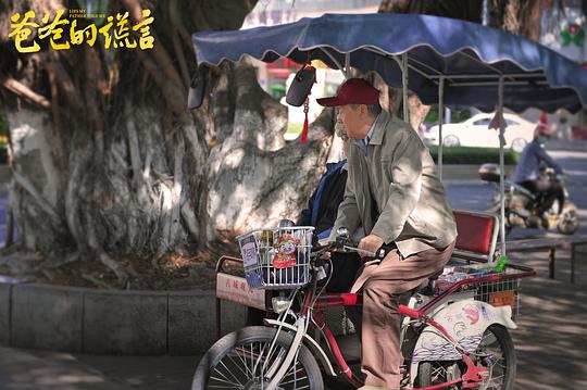 剧照