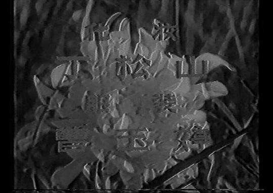 剧照