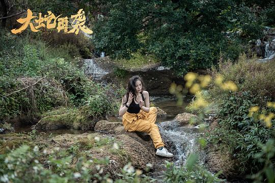 剧照
